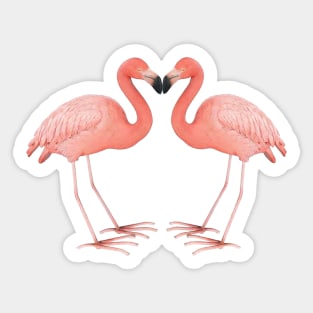 pink flamingo heart Sticker